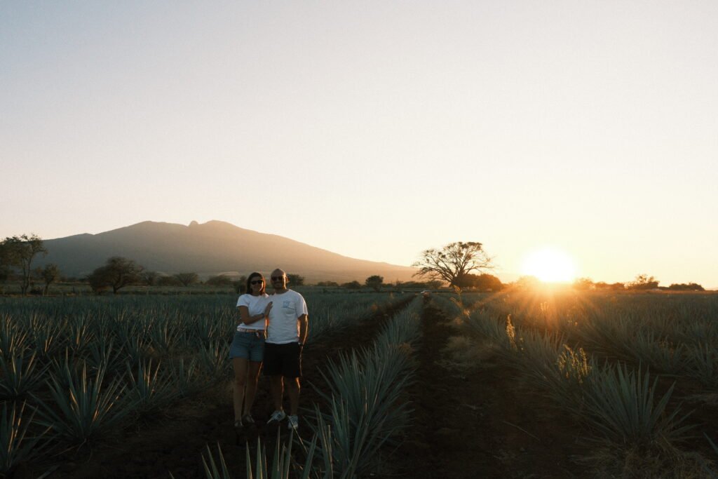 Things to do in Tequila, Mexico at sunset in the agave fields